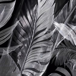 Shades of Night Tropics I