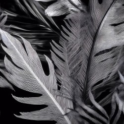 Shades of Night Tropics II