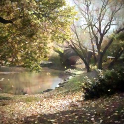 The Grassy Bank Along The Bridge