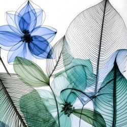 Tropical Patterns II