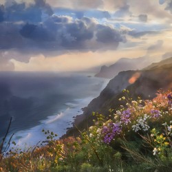 Wildflowers Above the Sea