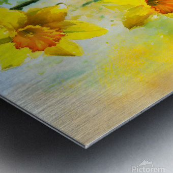 Bright Daffodills Metal print