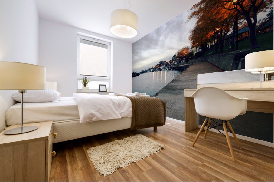 Dawn on the Huron River Mural print