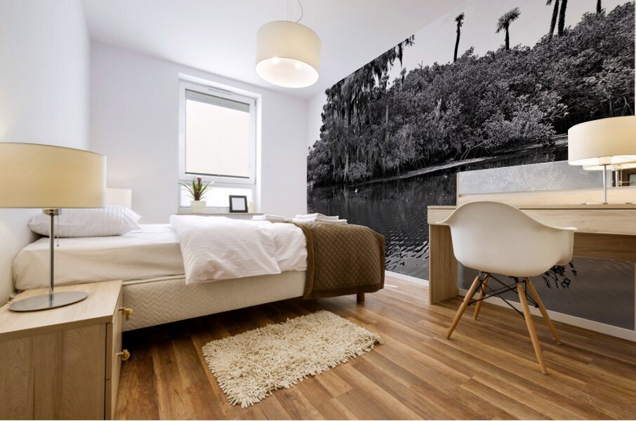 Find The Turtle Mural print