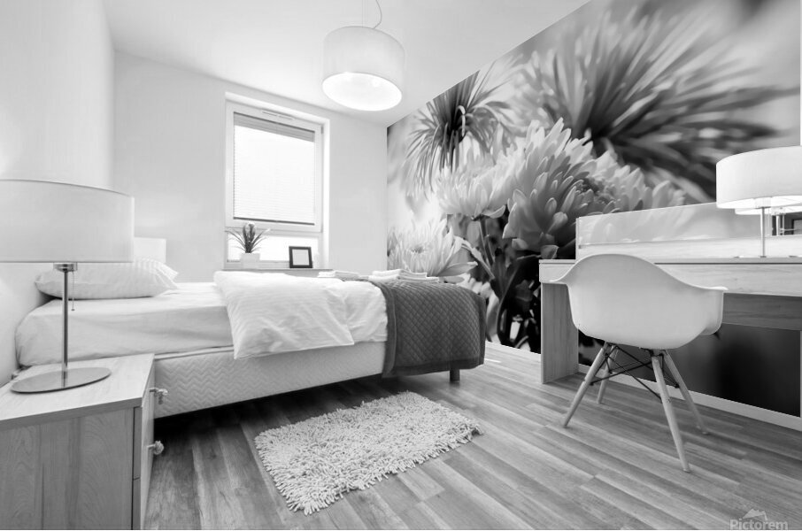 Mums and More in Black and White Mural print