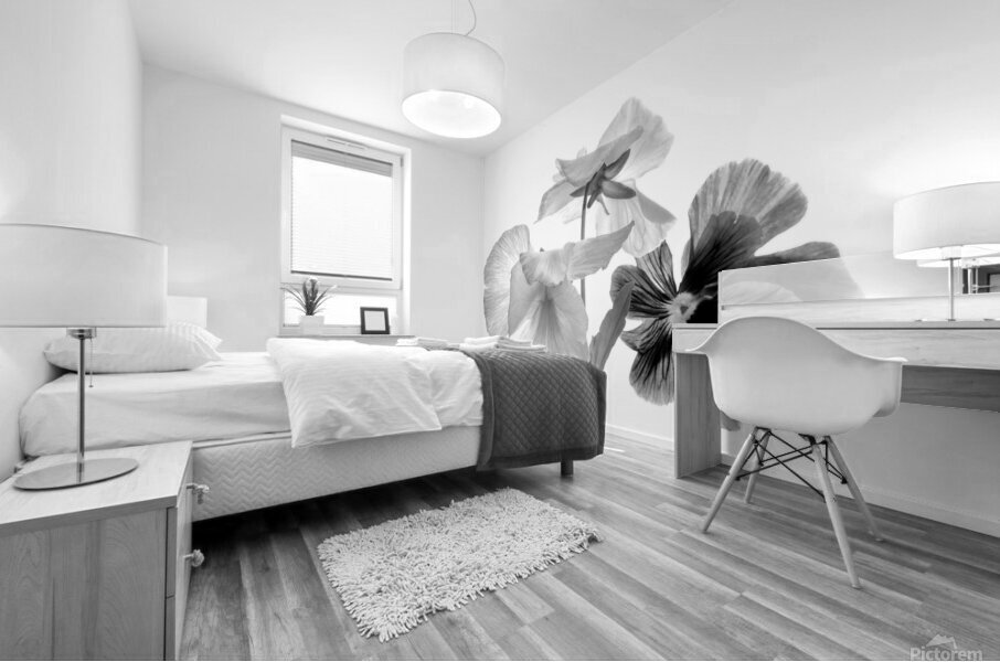 Spring Pansies in Black and White Mural print