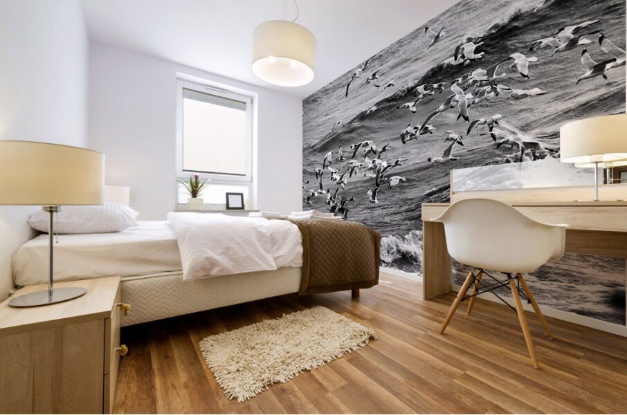 Morning Gulls Mural print