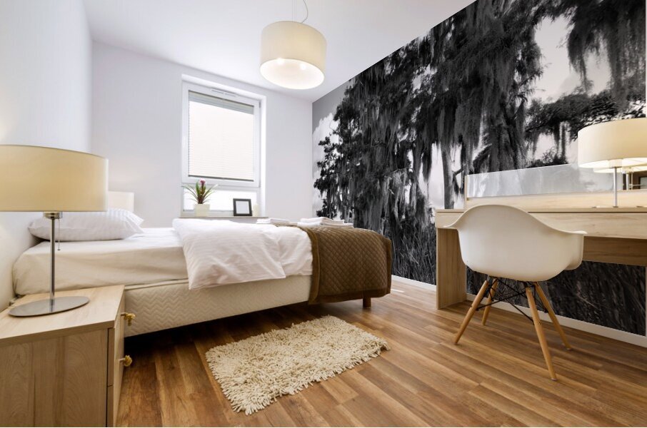 Florida Bald Cypress Mural print