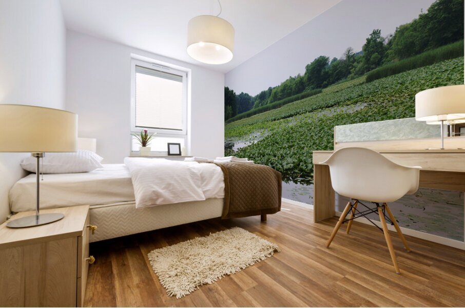 Natural Elevations of Nature at Sheldon Marsh Mural print