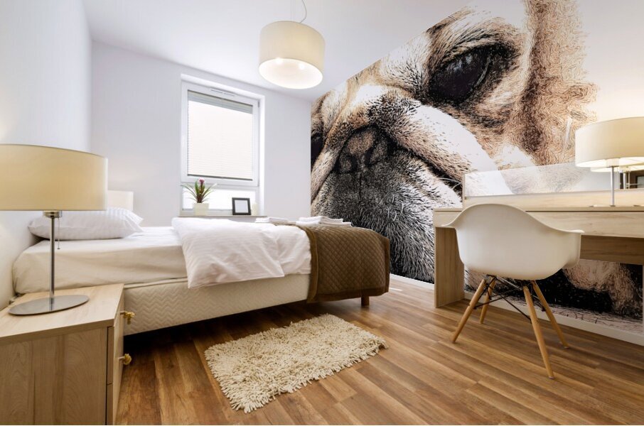 Fig The Miniature French Bulldog Mural print