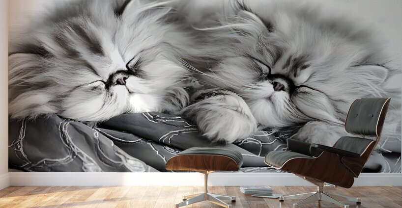 Sweet Dreams Kittens Wall Murals