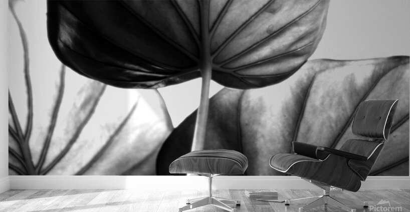 Tree of Life Leaf Art Wall Murals