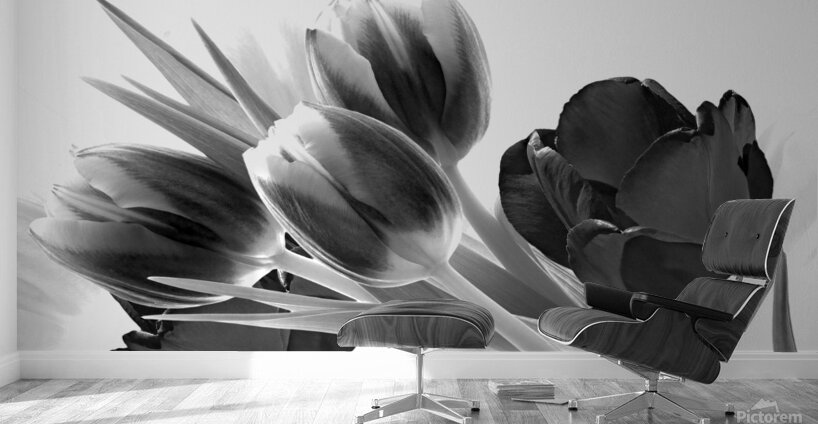 Breezy Blooming Tulips Wall Murals