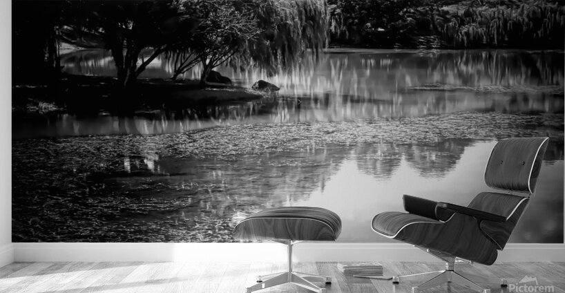 Willow Water Reflections Wall Murals