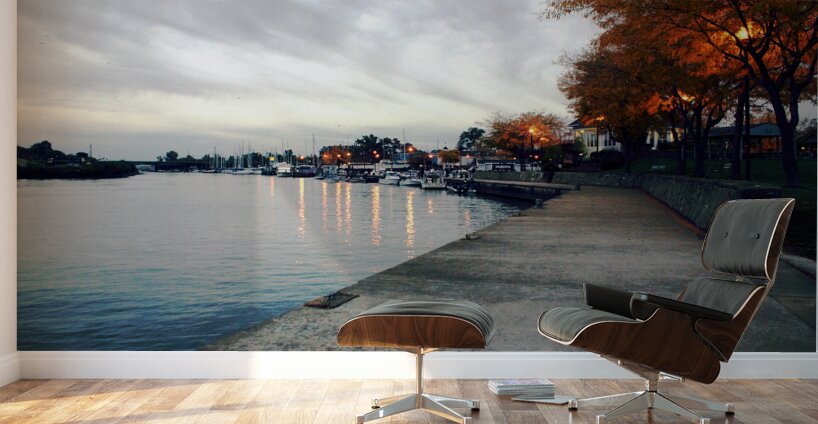 Dawn on the Huron River Wall Murals