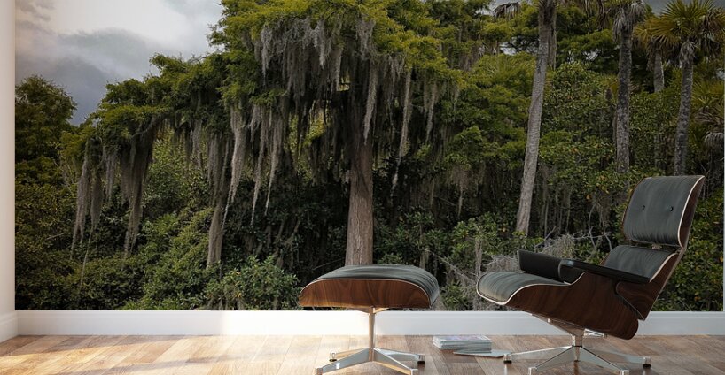 Osprey Nest on the Loxahatchee Wall Murals