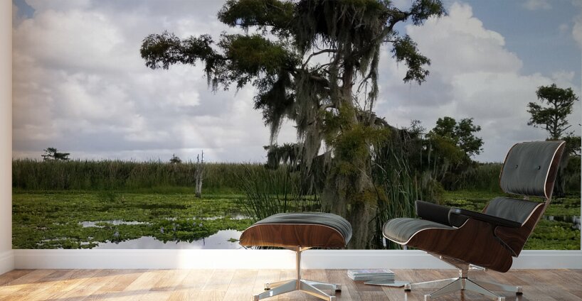 Perfect Osprey Nest Wall Murals