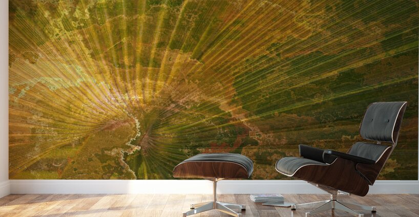 Palm Burst Rays Wall Murals