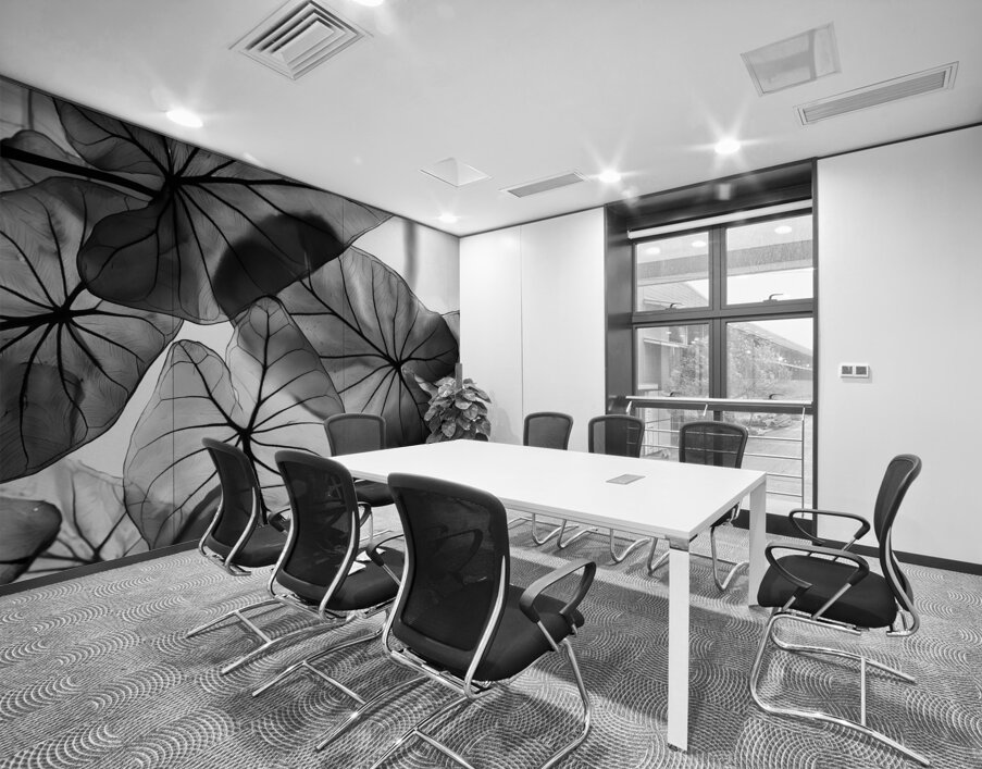 Caladium Leaves in Black and White Wall Printing