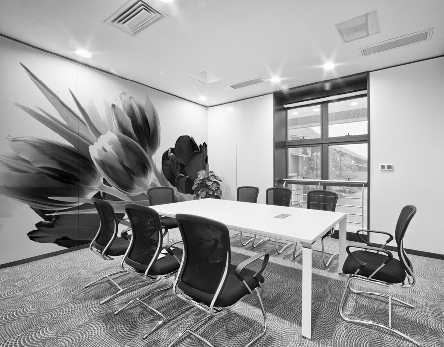 Breezy Blooming Tulips Wall Printing