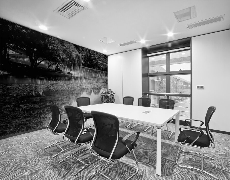 Willow Water Reflections Wall Printing