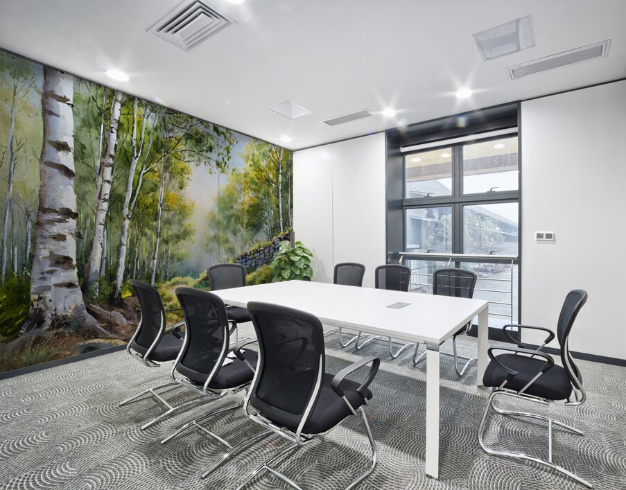 Path Through The Birches Wall Printing
