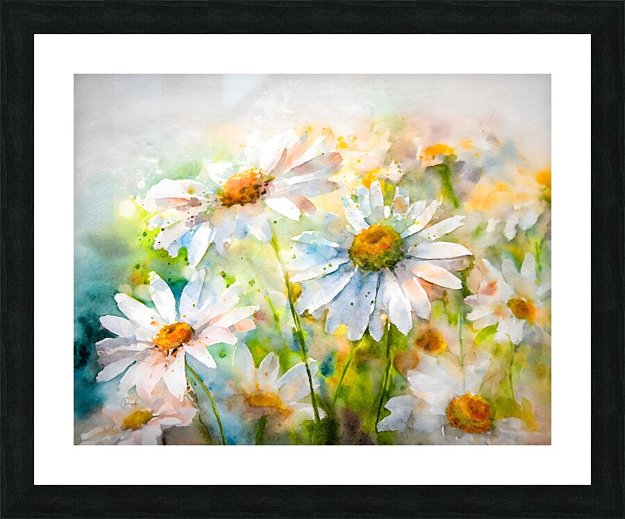 Watercolor Daisies Picture Frame print