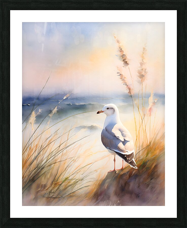 Seagull Perch Picture Frame print