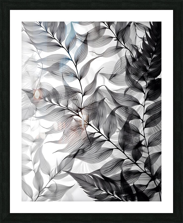 Tropical Tranparencies IV Picture Frame print