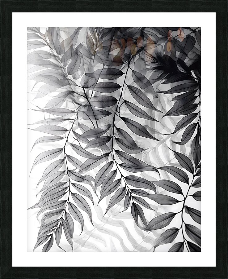 Tropical Transparencies III Picture Frame print
