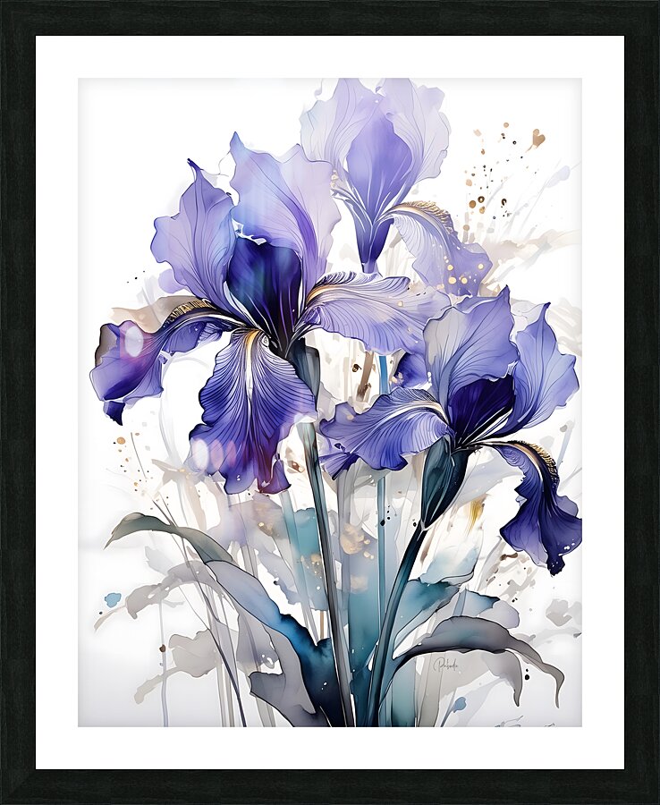 Irises Ink Wash Picture Frame print