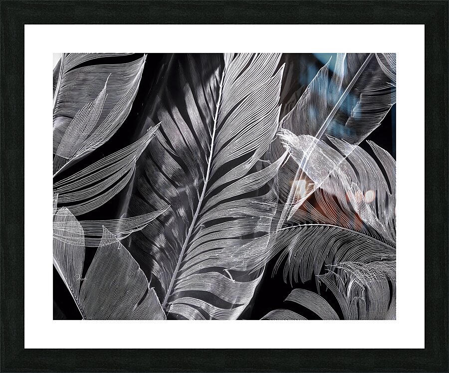 Shades of Night Tropics I Picture Frame print
