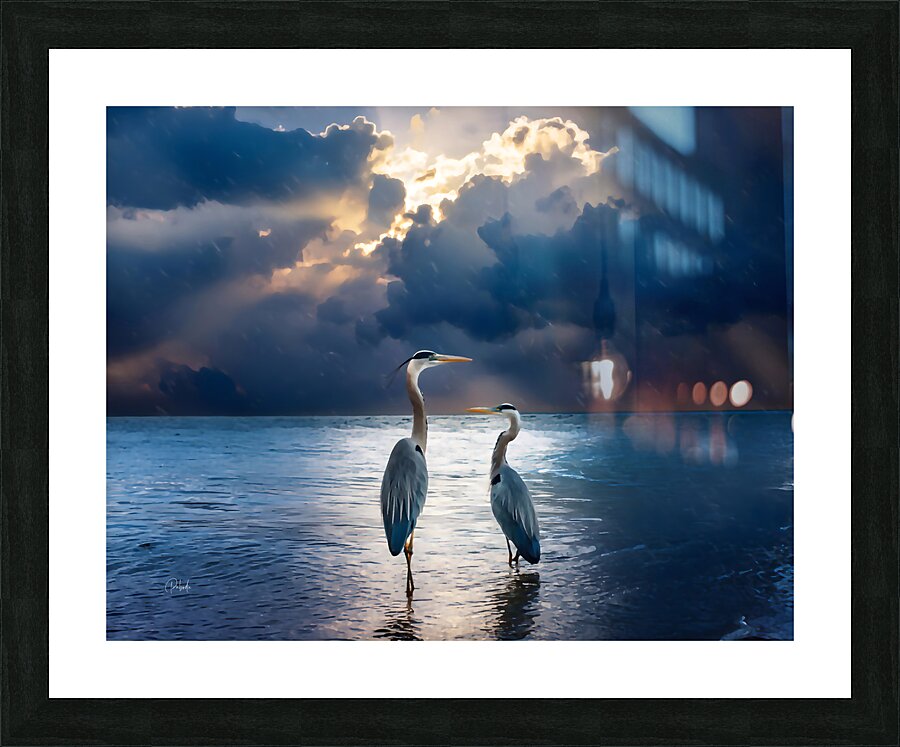 Blue Herons at Dawn Picture Frame print