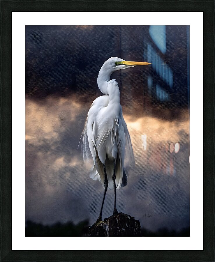 Egret Standing Tall Picture Frame print