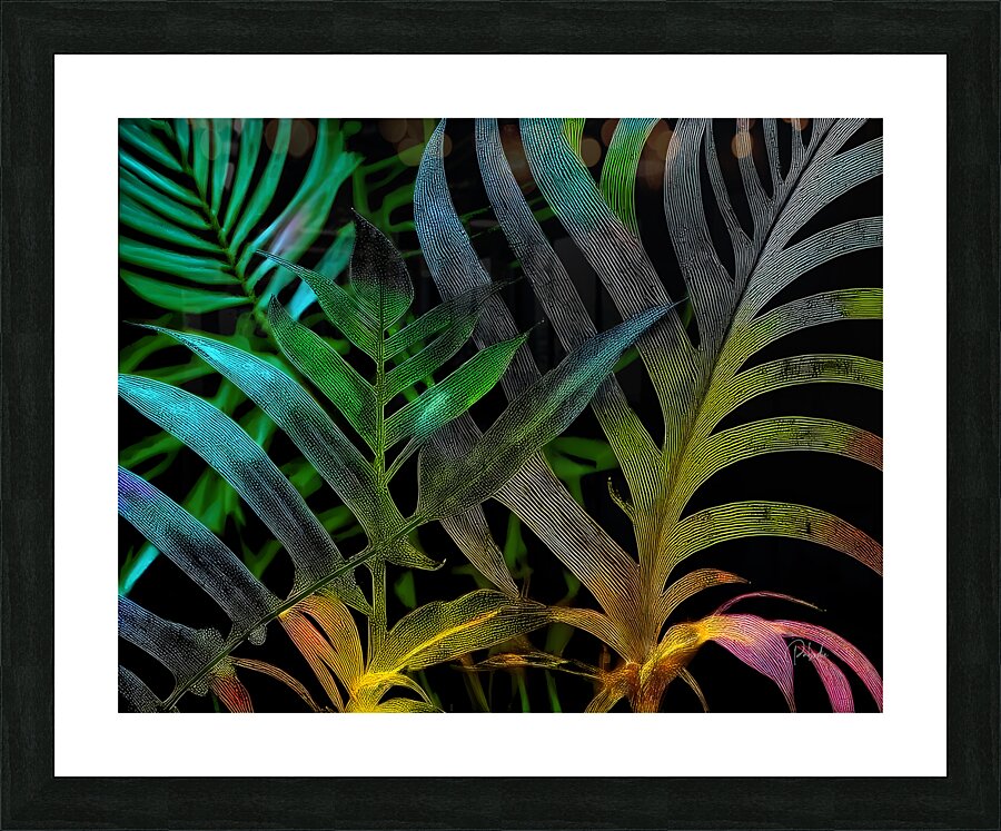 Tropical Leaves At Night Picture Frame print