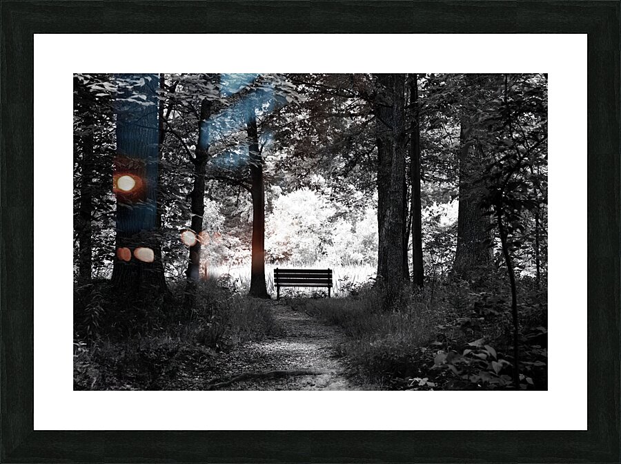 Dark to Light Picture Frame print