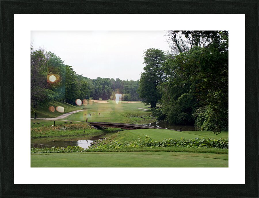 Of Geese and Golf at Sawmill Creek Picture Frame print