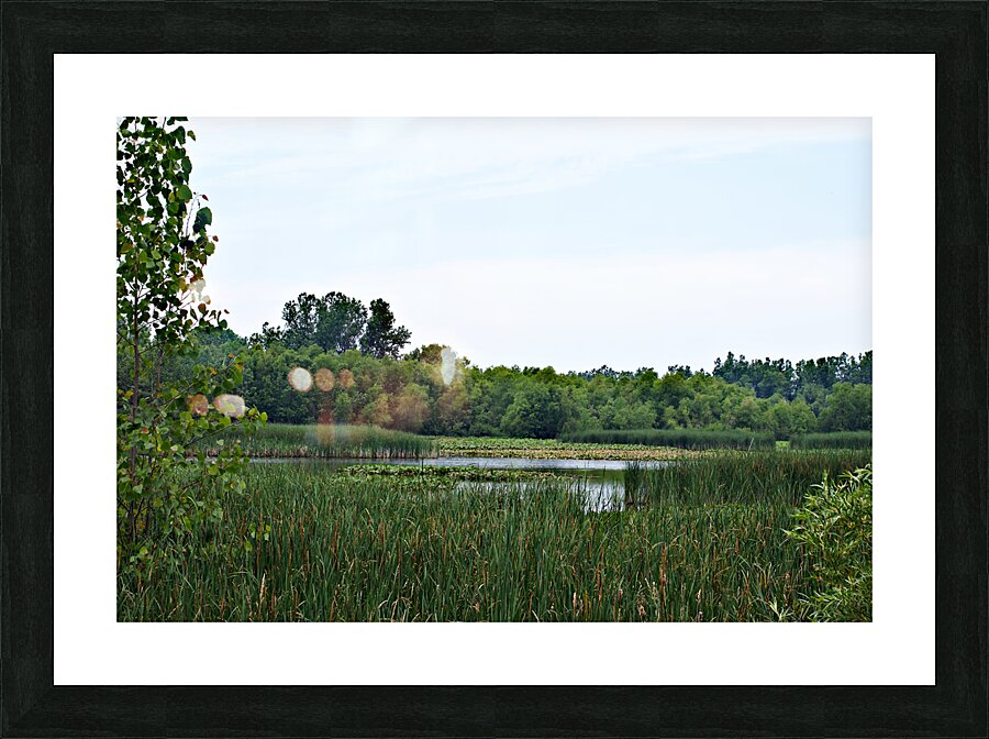 Natural Serenity Picture Frame print