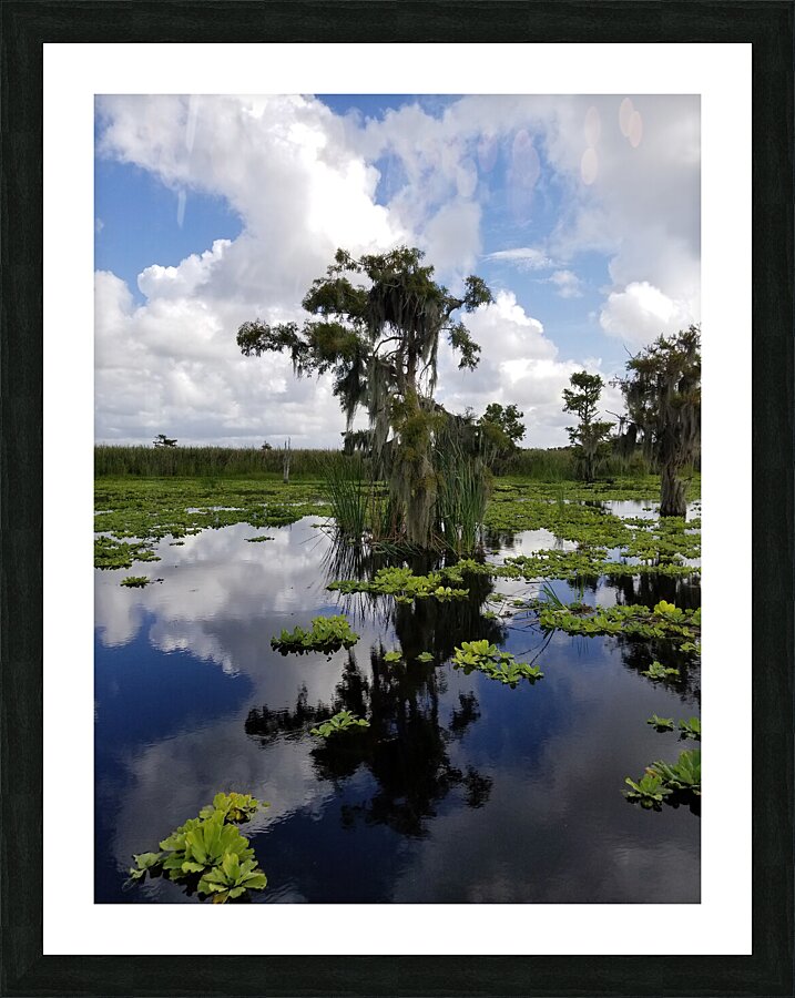 Osprey Reflections Picture Frame print