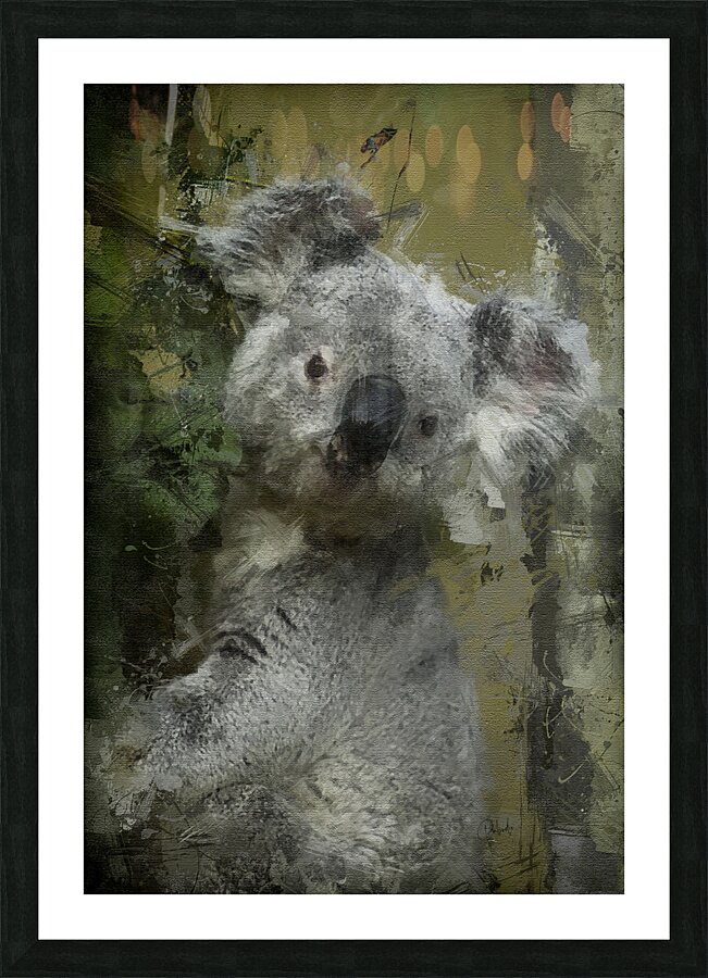 Climbing Koala Picture Frame print