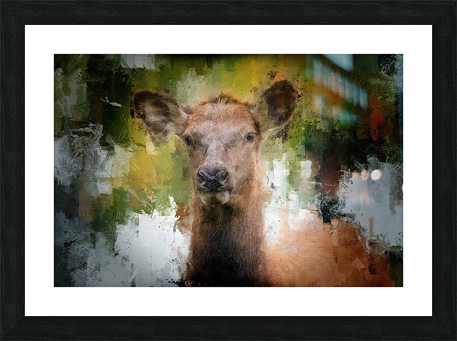 Soft Eyed Doe Picture Frame print
