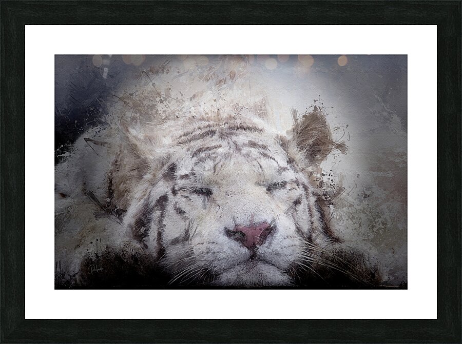 Sleepy White Tiger Frame print