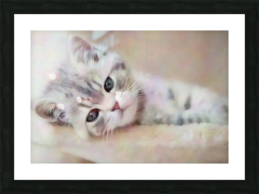 Kitty Cat Snuggling In Picture Frame print