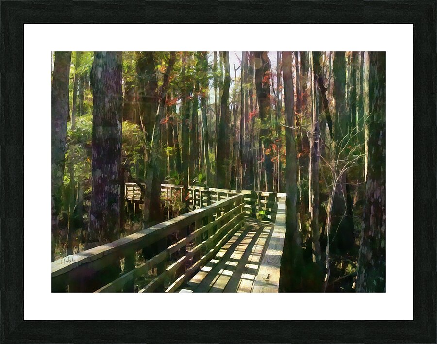 Wooden Walk Into Fall Picture Frame print