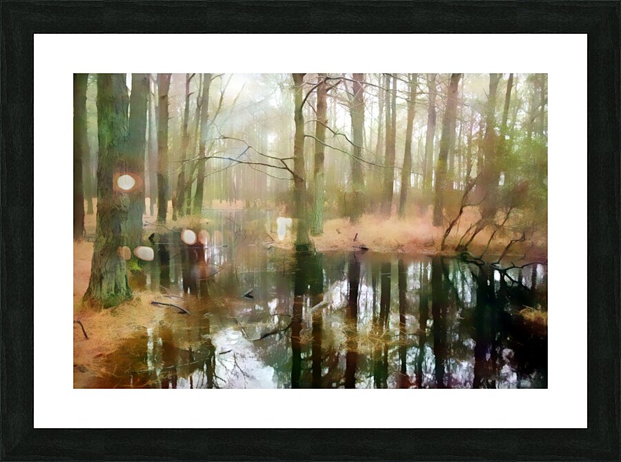 Meandering Backwater Swampy Reflections Picture Frame print