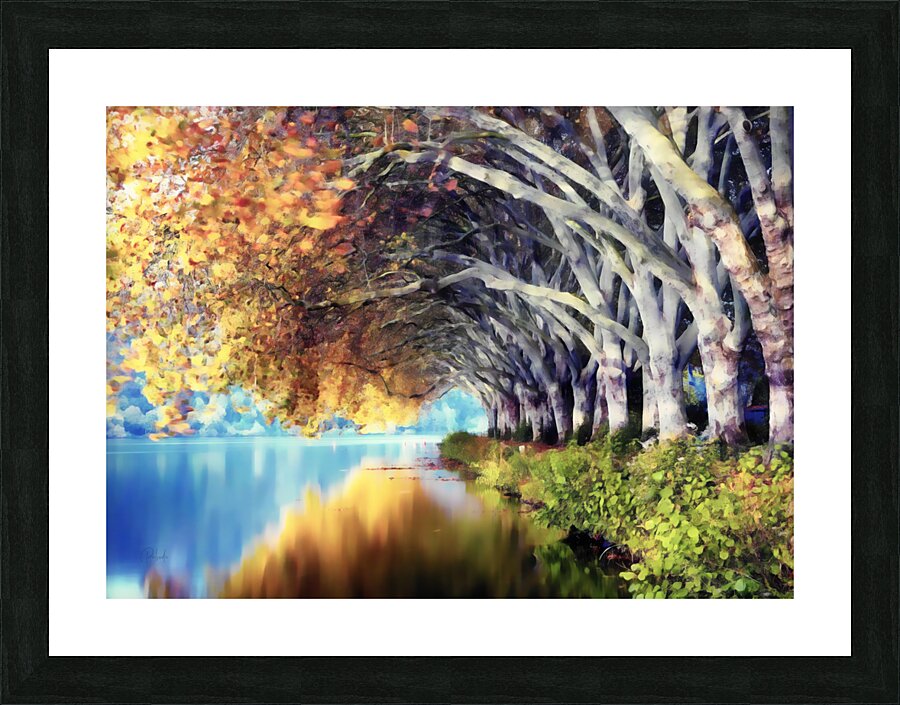 Birch Leaf Reflections Picture Frame print