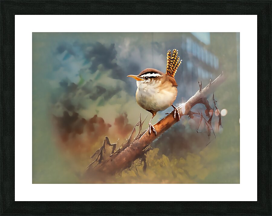 Sweet Carolina Wren Picture Frame print