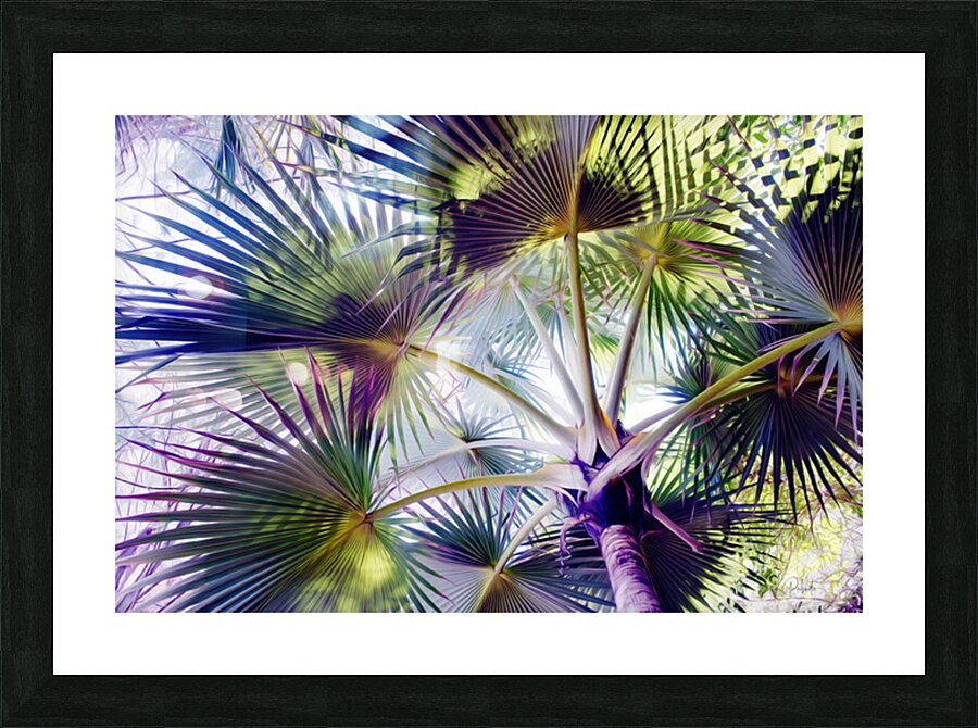 Glorious Palms Picture Frame print