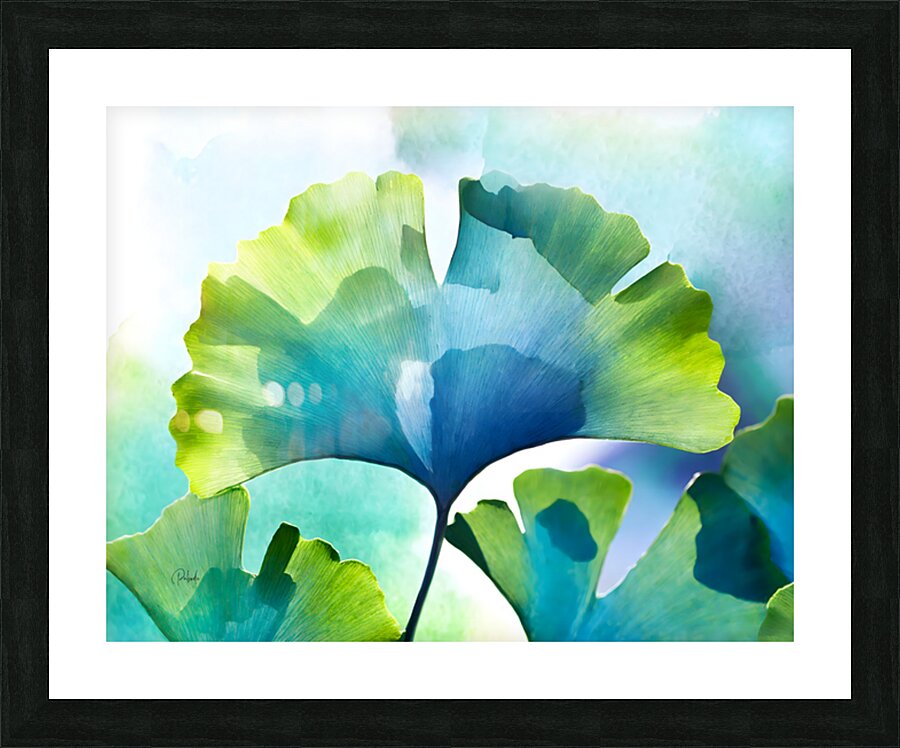 Ginkgo Biloba I Picture Frame print
