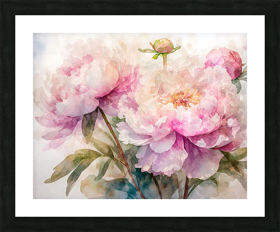 Peonies Watercolor Picture Frame print